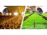 Giải pháp ứng dụng Camera quản lý nông trại